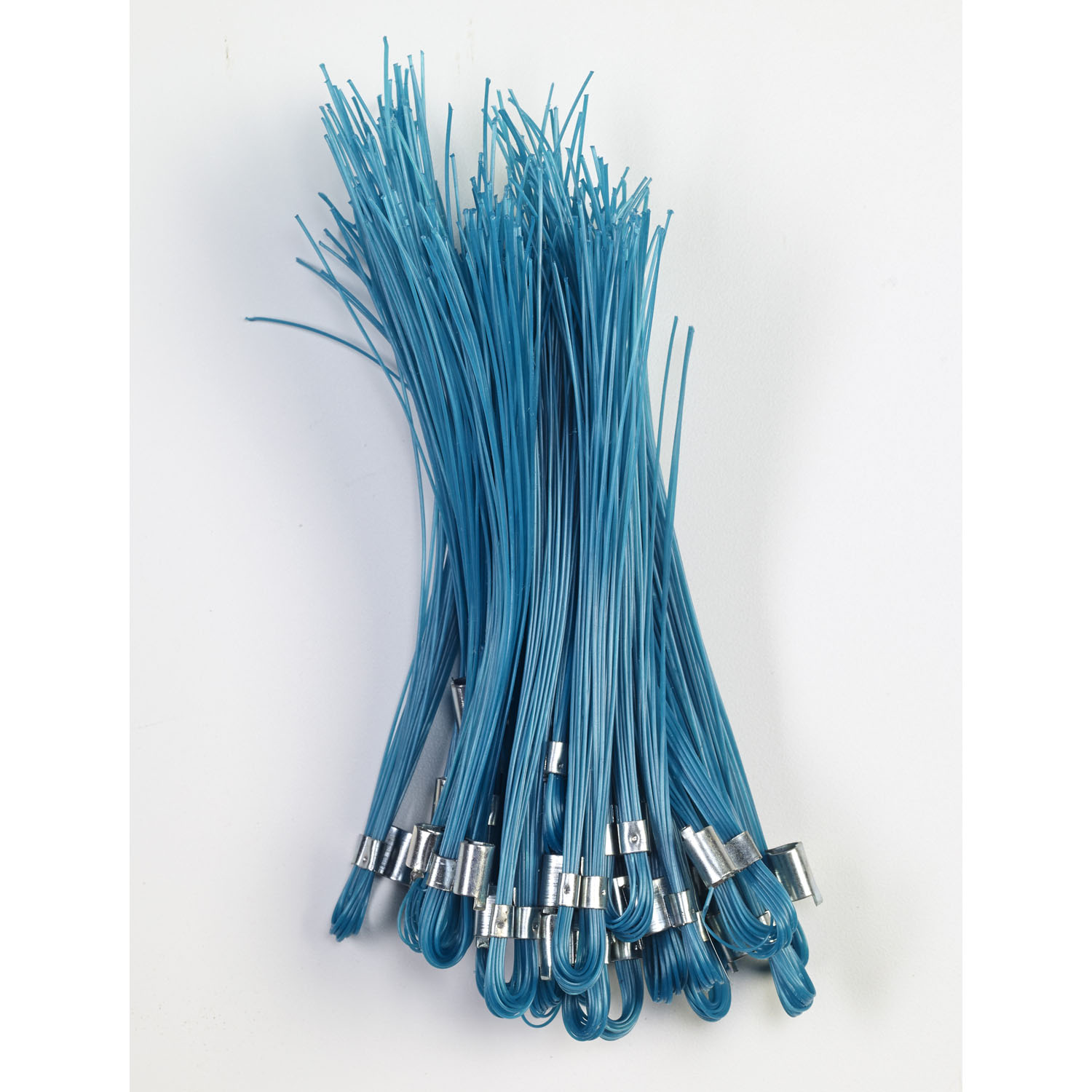 6 IN. BLUE TOP STAKES 25 BUNDLE WHISKER STAKE CHASERS WITH LOOP