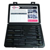 10 PIECE BOLT EXTRACTOR SET WITH CASE (SAE)