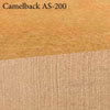 1 GALLON CAMELBACK ARTESIAN WATER-BASED STAIN ( CLOSEOUT )