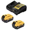 20V MAX 5AH STARTER KIT WITH TWO BATTERIES AND CHARGER