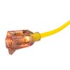 25 FT. 12 GAUGE 3-CONDUCTOR 300V SJTW EXTENSION CORD