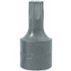 TORX BIT T-47 3/8 IN. DRIVE