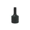 TORX BIT SET T-55 3/8 IN. DRIVE