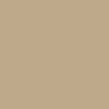 PAMPAS GRASS CONCRETE COLOR 1 LB (COLOR MATCH)