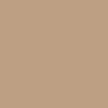 AUTUMN BEIGE CONCRETE COLOR 1 LB (COLOR MATCH)